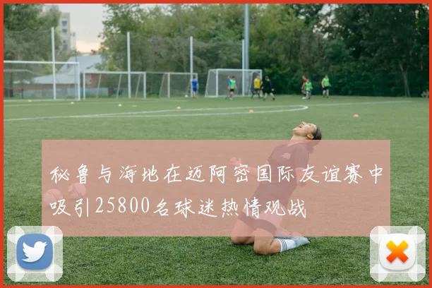 秘鲁与海地在迈阿密国际友谊赛中吸引25800名球迷热情观战