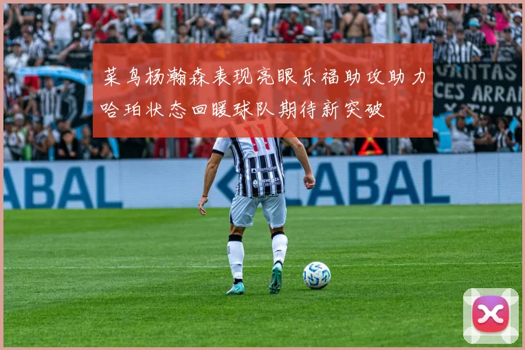 菜鸟杨瀚森表现亮眼乐福助攻助力哈珀状态回暖球队期待新突破