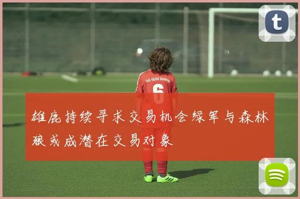 雄鹿持续寻求交易机会绿军与森林狼或成潜在交易对象